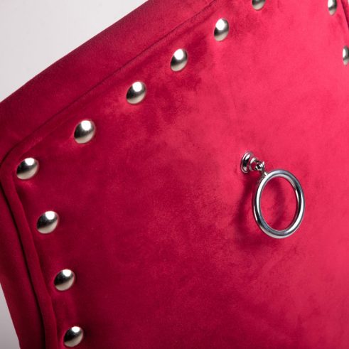Detalle Tachuelas y Aro